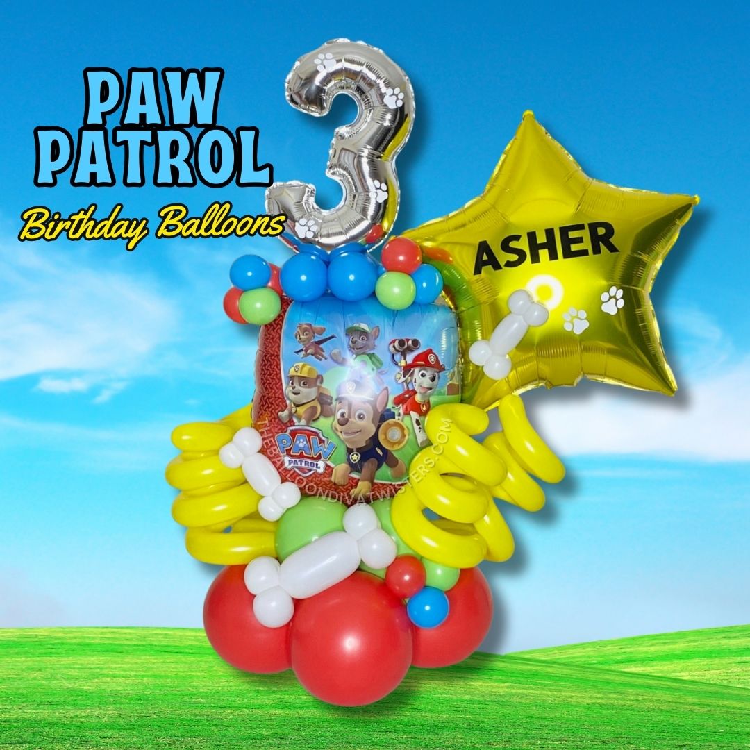 Paw Patrol Birthday Balloon Marquee
